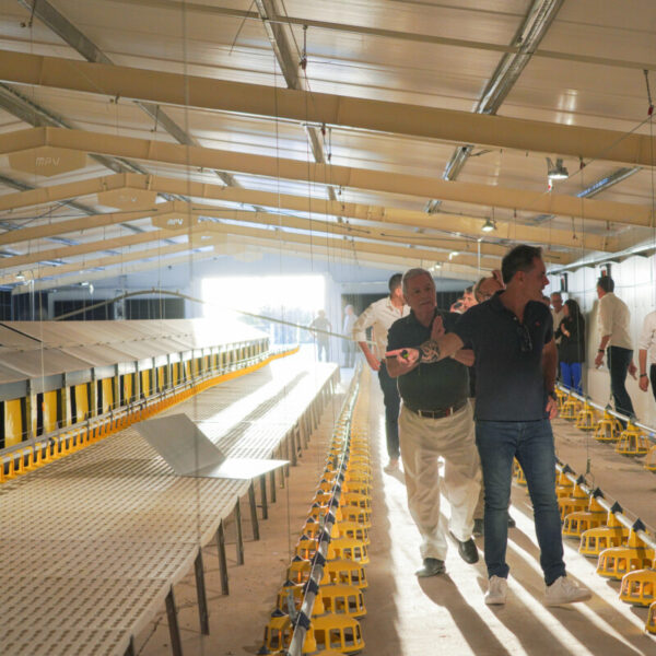 DSC03424_1 DSC03424_1