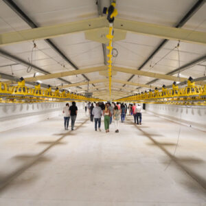 DSC03451_1 DSC03451_1