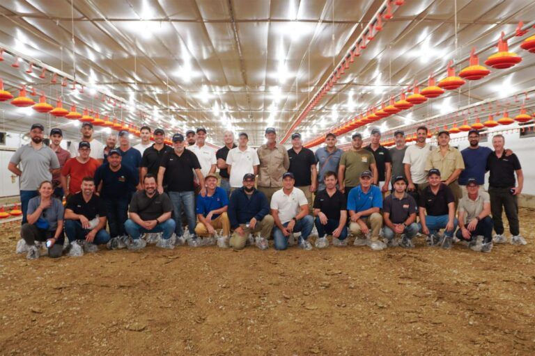 CALISA Aviagen portada web